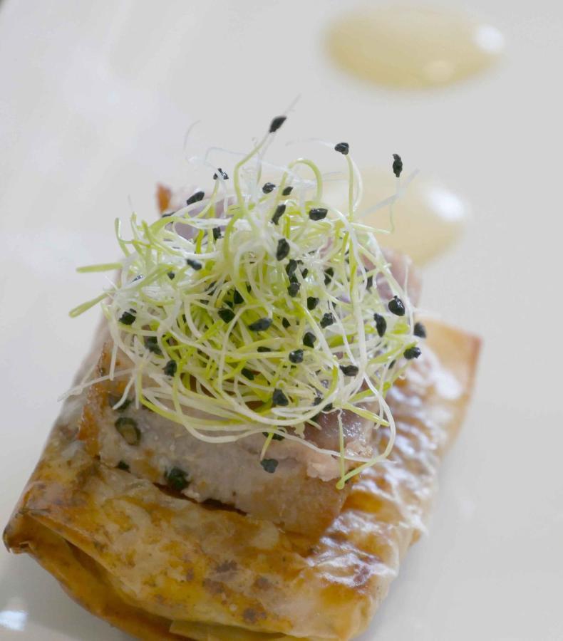 オッソンヌ La Planette Bed & Breakfast エクステリア 写真